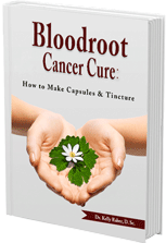 Bloodroot cancer cure: How to Make Capsules and Tincture