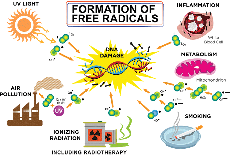 Formation of Free Radicals