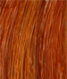 Henna for Burnt orange hair on Blond hair