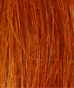Henna for burnt Orange Hair on gray hair